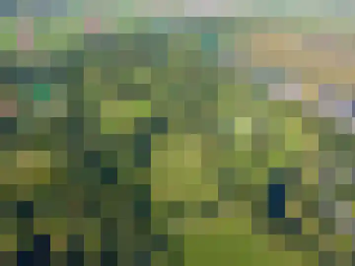 Van Goghlaan 1 Veendam thumbnail 77