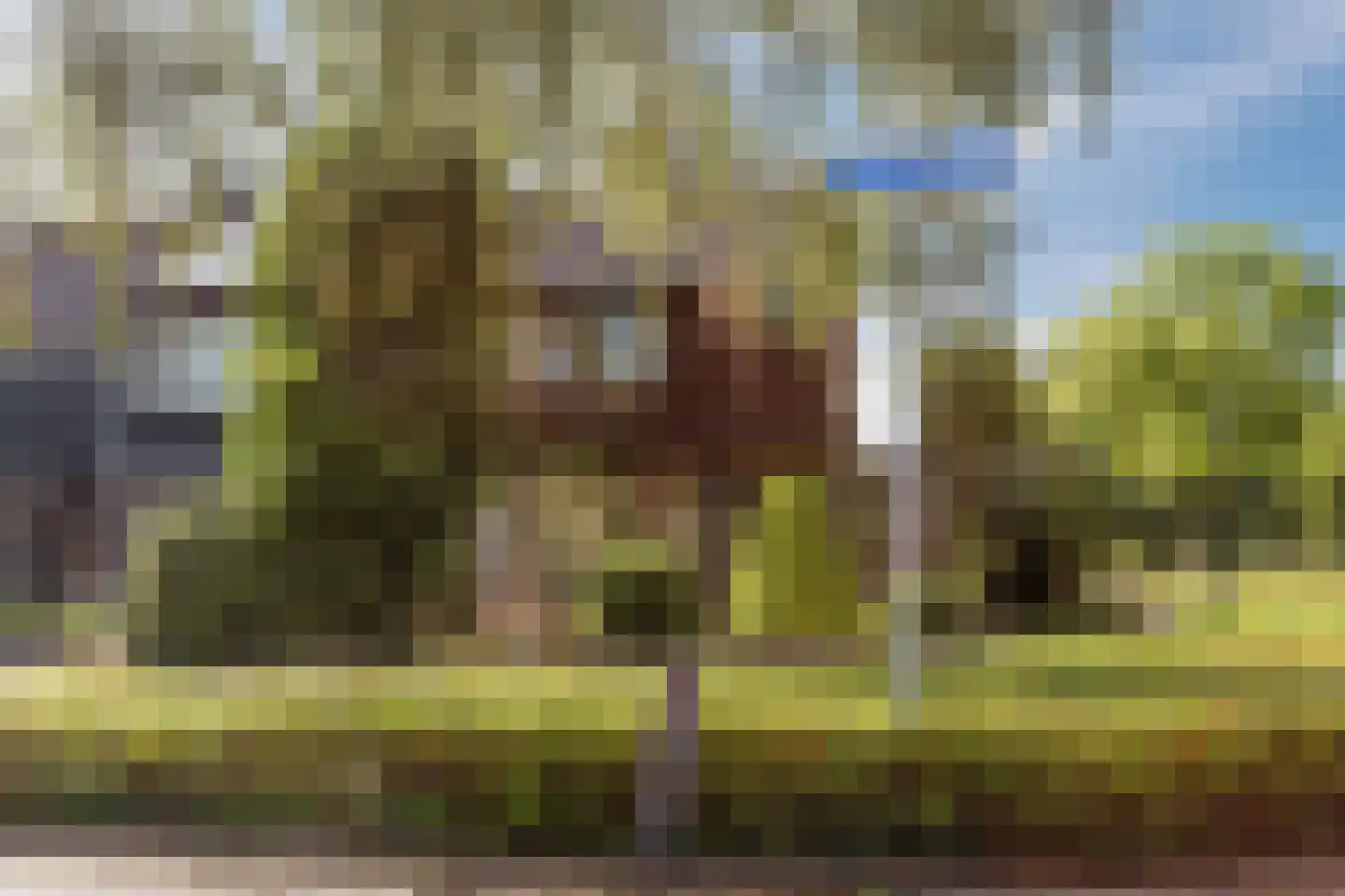 van Goghlaan 11 Scherpenzeel thumbnail 10