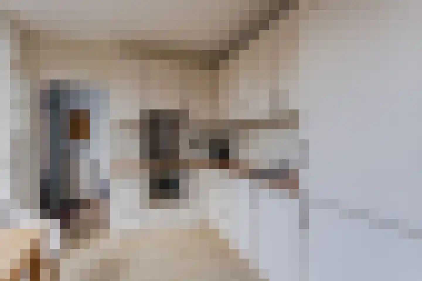 van Goghlaan 11 Scherpenzeel thumbnail 17