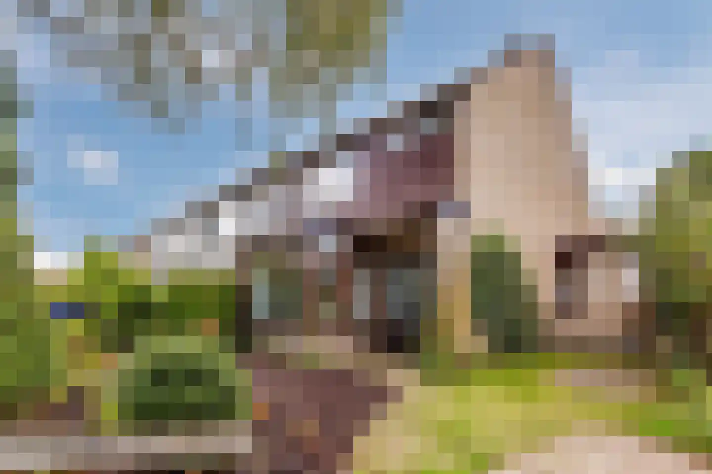 van Goghlaan 11 Scherpenzeel foto 3
