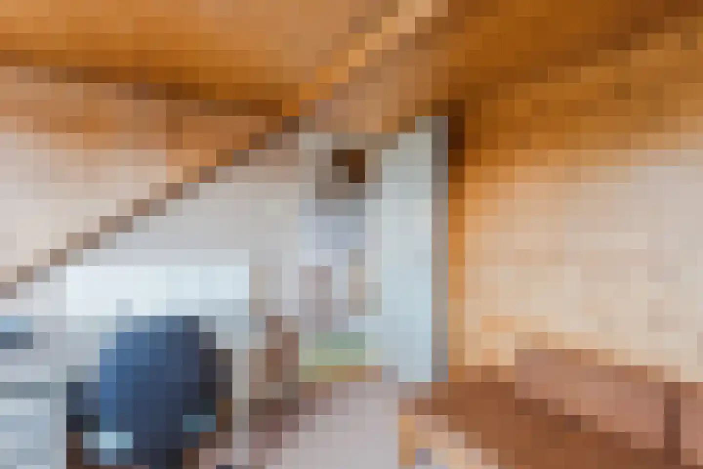 van Goghlaan 11 Scherpenzeel thumbnail 37