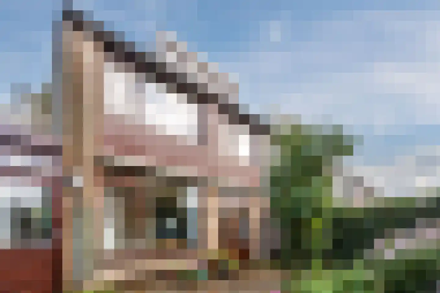 van Goghlaan 11 Scherpenzeel thumbnail 40