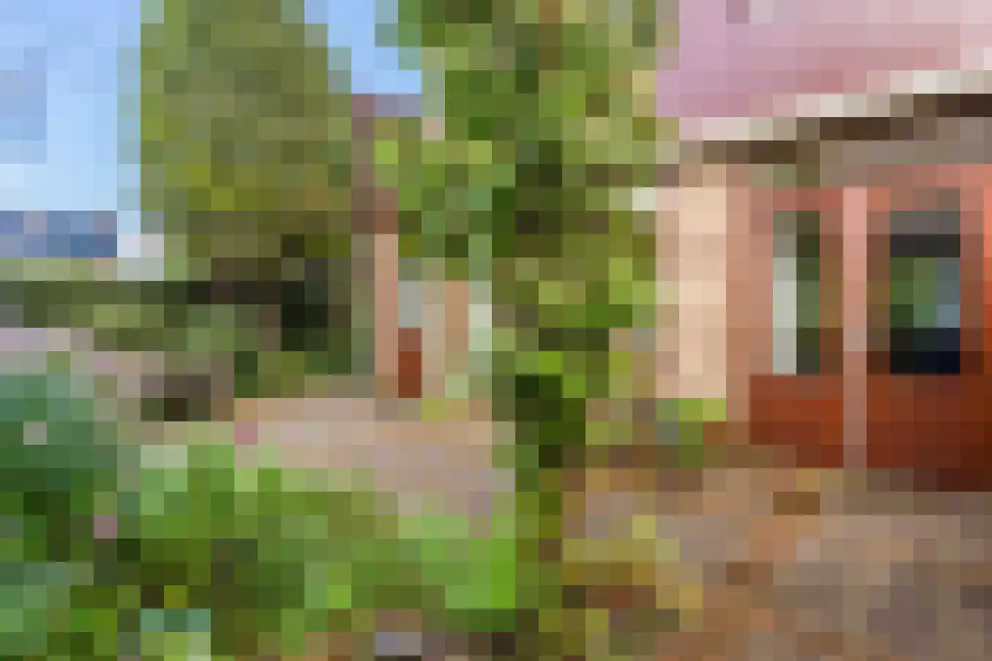 van Goghlaan 11 Scherpenzeel thumbnail 42
