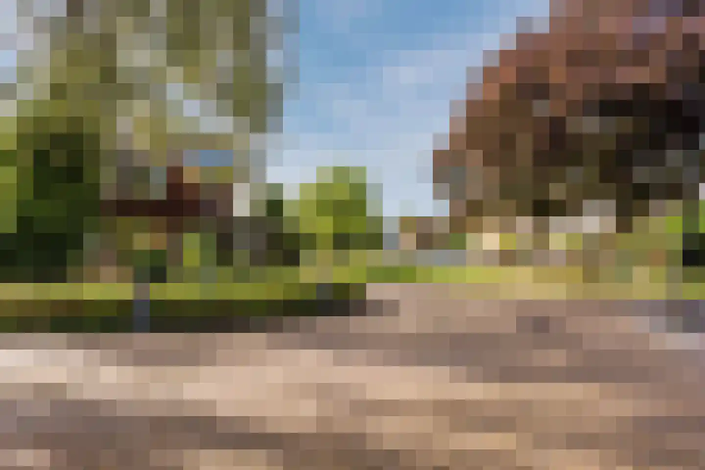 van Goghlaan 11 Scherpenzeel thumbnail 43