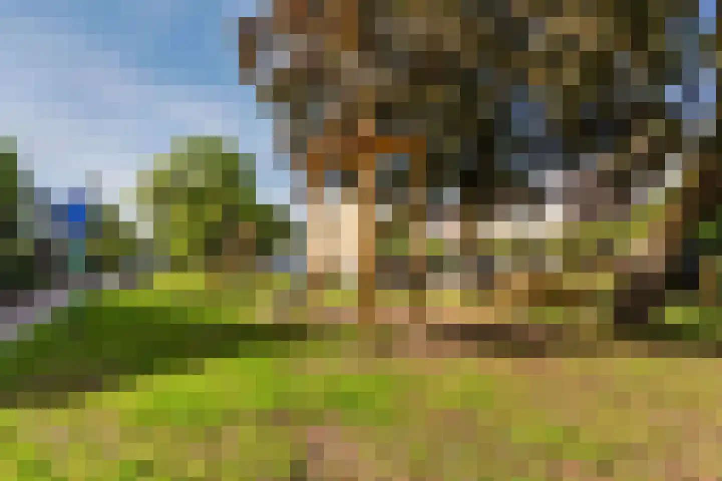 van Goghlaan 11 Scherpenzeel thumbnail 45