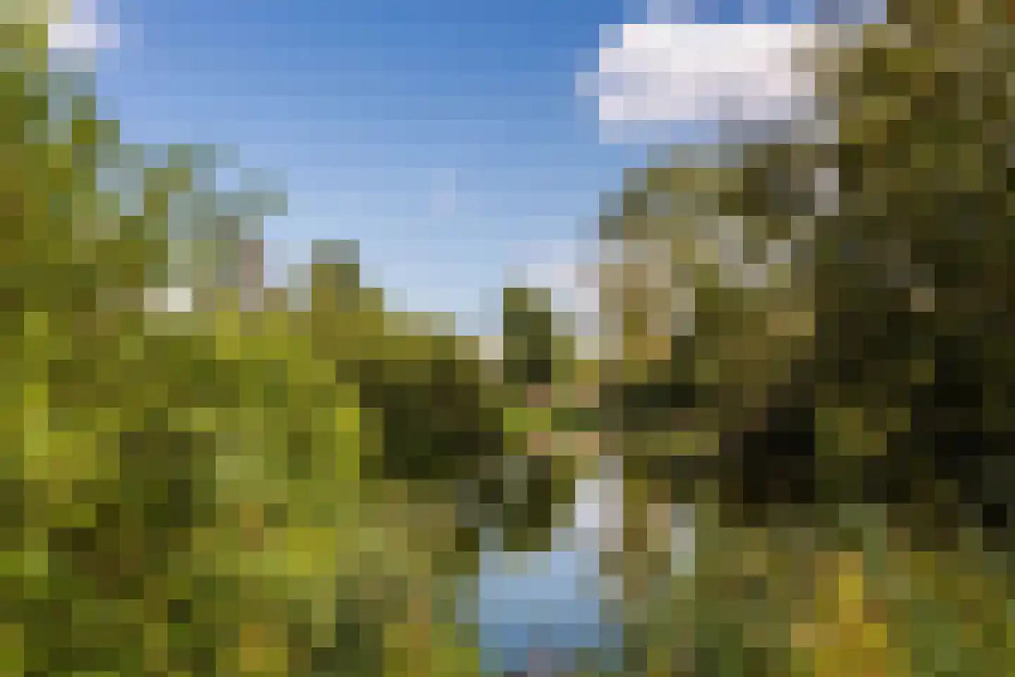 van Goghlaan 11 Scherpenzeel thumbnail 9
