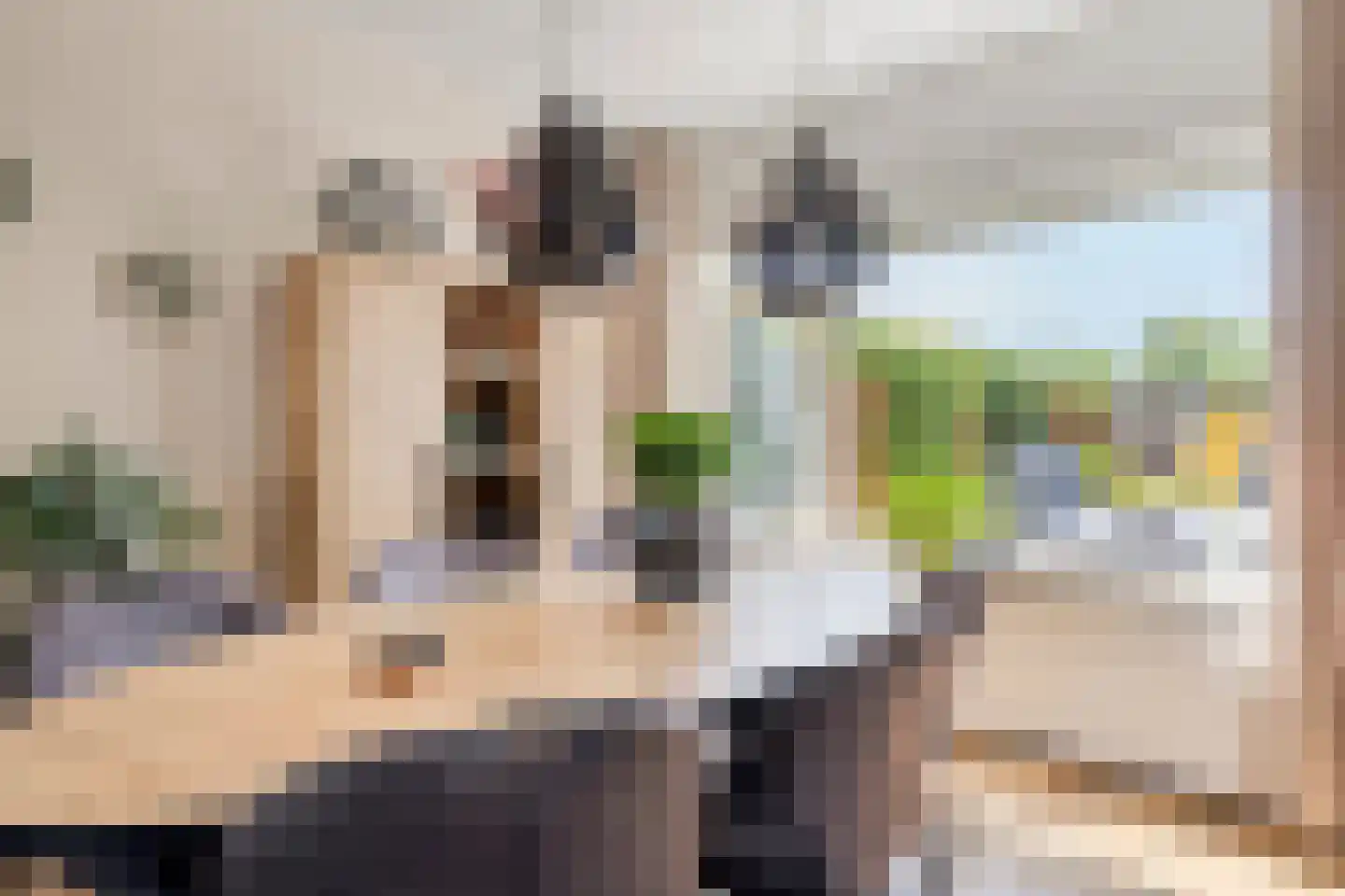 Van Goghlaan 12 Woudenberg thumbnail 12