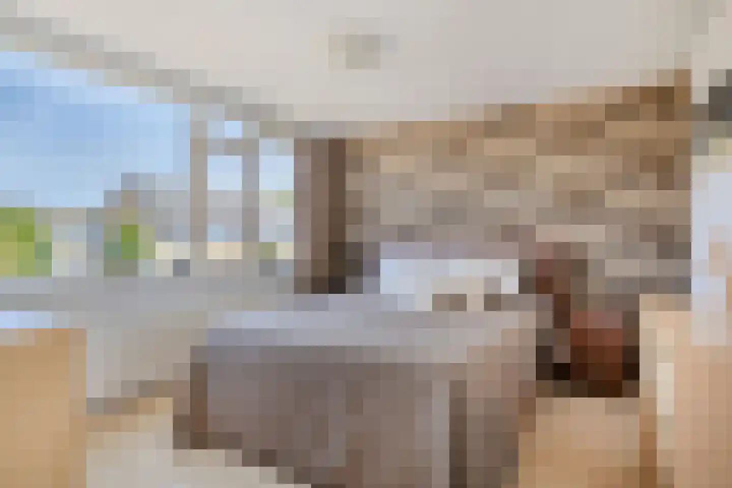 Van Goghlaan 12 Woudenberg thumbnail 19