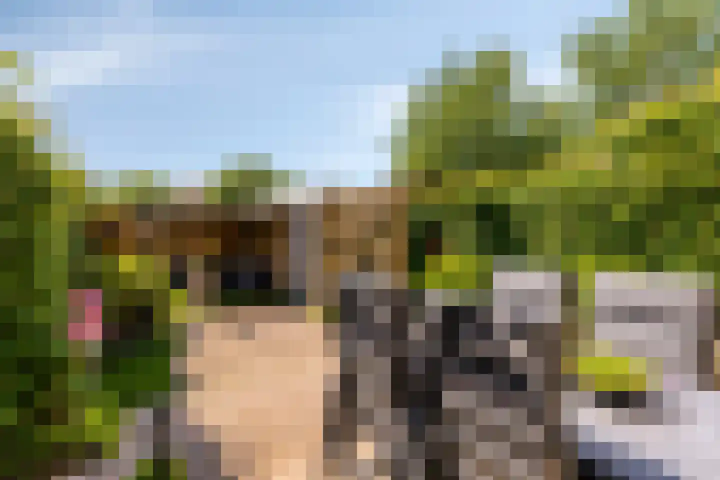 Van Goghlaan 12 Woudenberg thumbnail 33