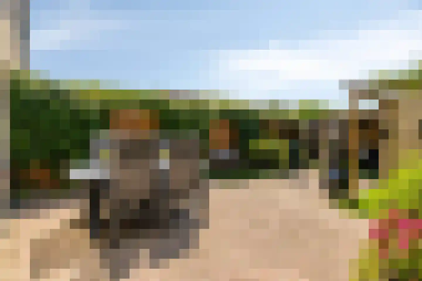 Van Goghlaan 12 Woudenberg thumbnail 35