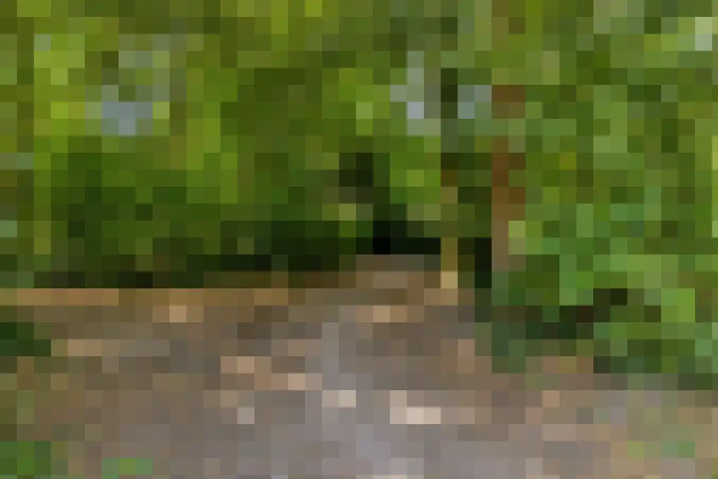 Van Goghlaan 12 Woudenberg thumbnail 53