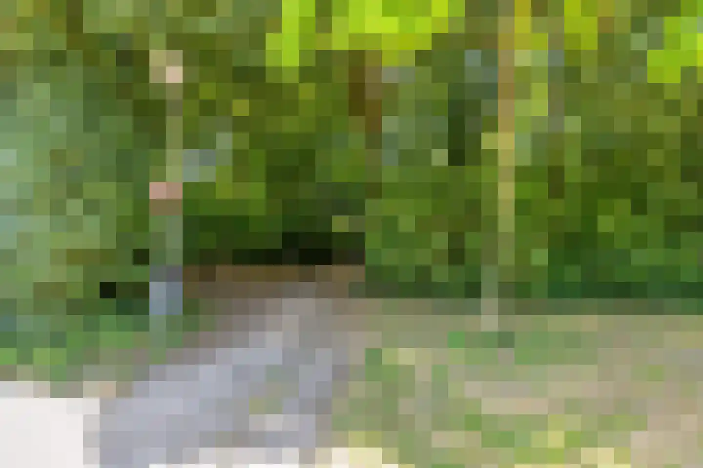 Van Goghlaan 12 Woudenberg thumbnail 54
