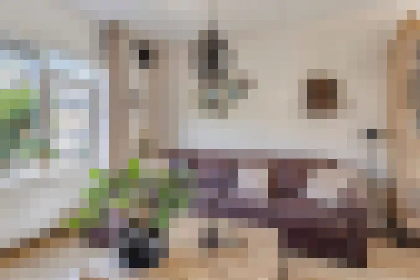 Van Goghlaan 12 Woudenberg thumbnail 7