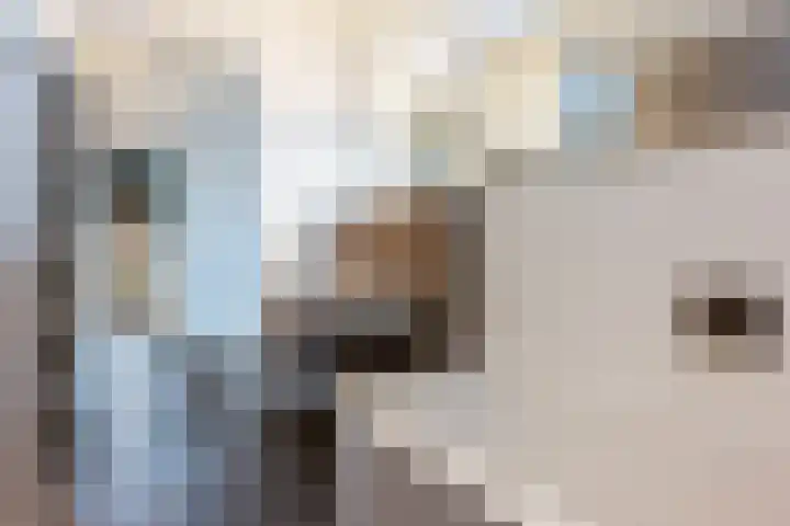 Van Goghlaan 15 Veendam thumbnail 24