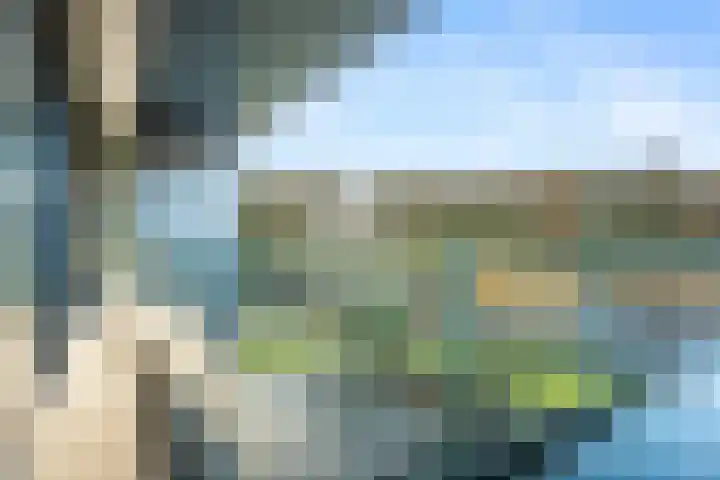 Van Goghlaan 15 Veendam thumbnail 34