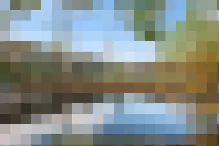 Van Goghlaan 15 Veendam thumbnail 43