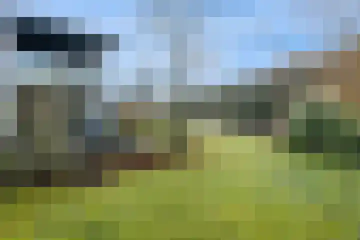 Van Goghlaan 15 Veendam thumbnail 47