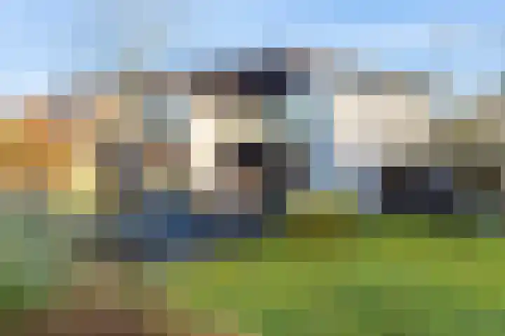 Van Goghlaan 15 Veendam thumbnail 48
