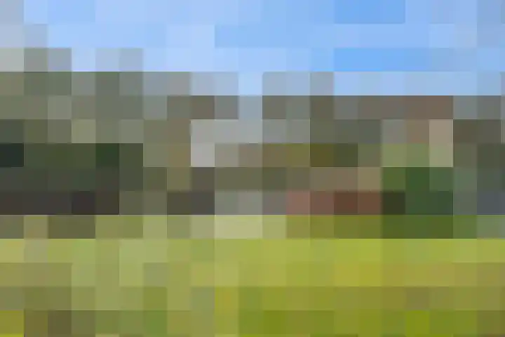 Van Goghlaan 15 Veendam thumbnail 52