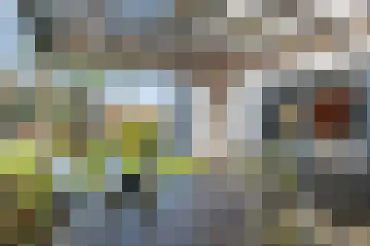 Van Goghlaan 15 Veendam thumbnail 54