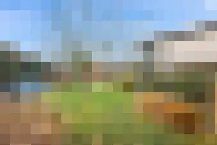 Van Goghlaan 15 Veendam thumbnail 55