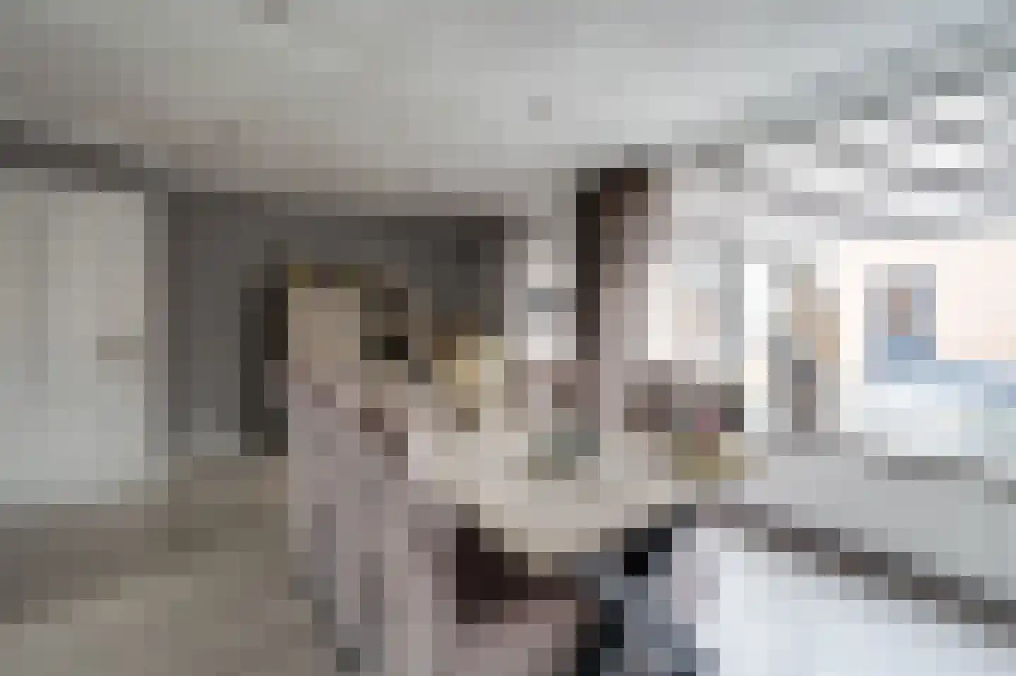 Van Goghlaan 188 Roosendaal thumbnail 11