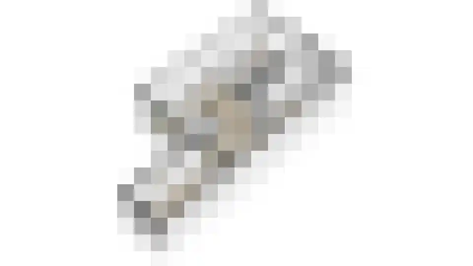 Van Goghlaan 188 Roosendaal thumbnail 37