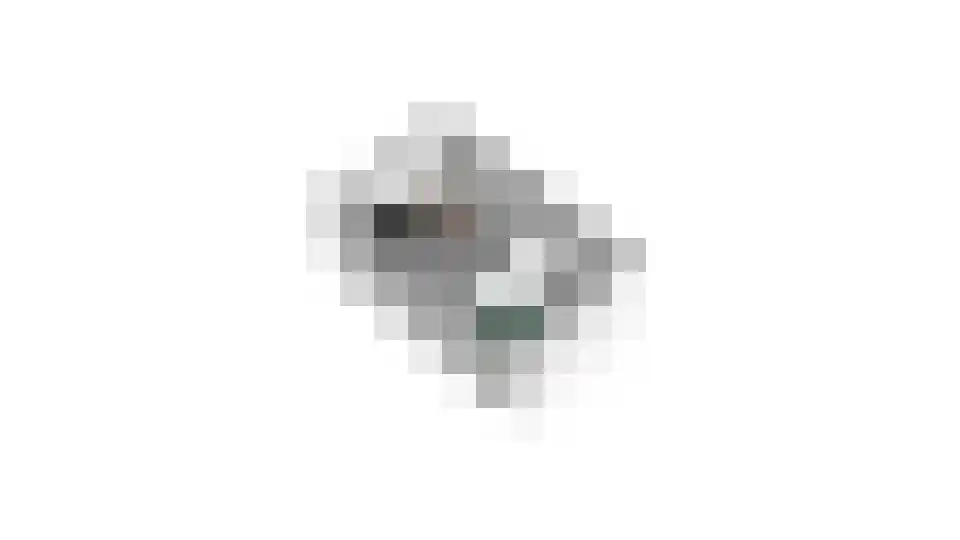 Van Goghlaan 188 Roosendaal thumbnail 50