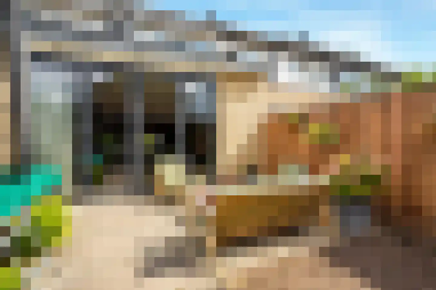 Van Goghlaan 20 Woudenberg thumbnail 42