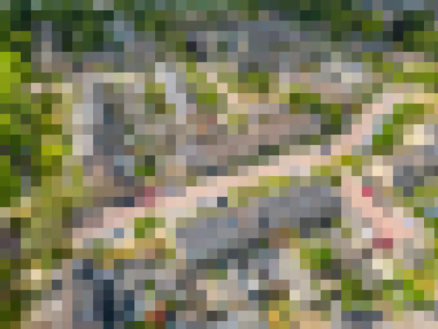 Van Goghlaan 20 Woudenberg thumbnail 51