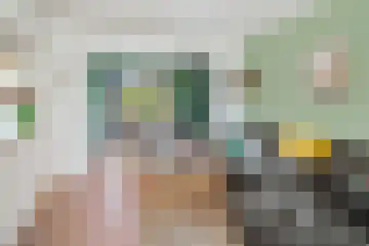 Van Goghlaan 210 Roosendaal thumbnail 11