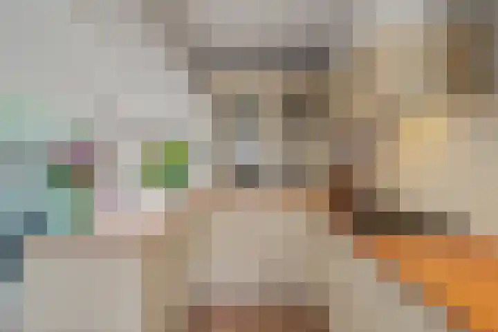 Van Goghlaan 210 Roosendaal thumbnail 16