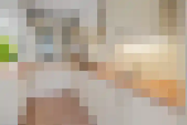 Van Goghlaan 210 Roosendaal thumbnail 17