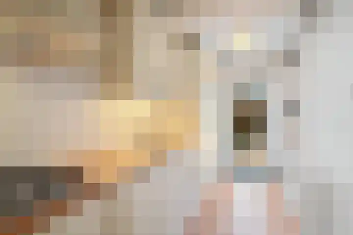 Van Goghlaan 210 Roosendaal thumbnail 18