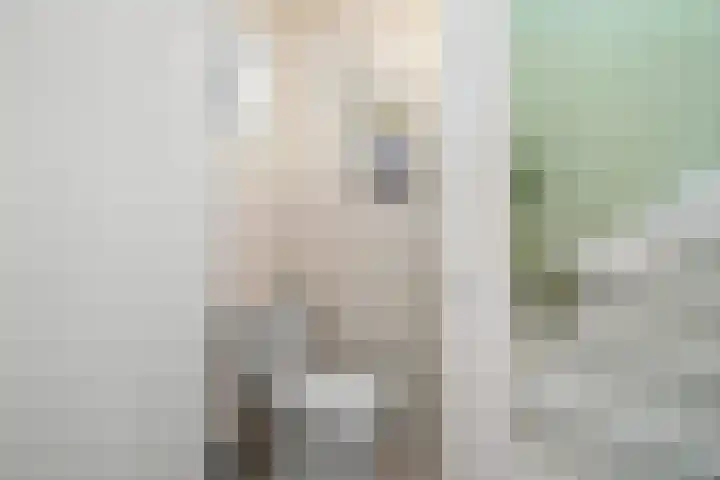 Van Goghlaan 210 Roosendaal thumbnail 21