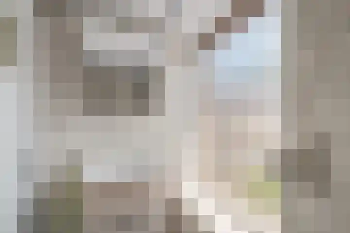 Van Goghlaan 210 Roosendaal thumbnail 28