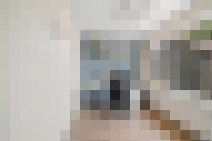 Van Goghlaan 210 Roosendaal thumbnail 30