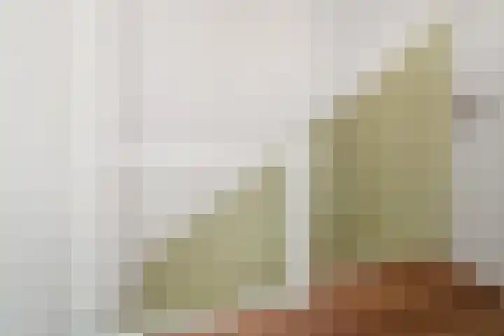 Van Goghlaan 210 Roosendaal thumbnail 32