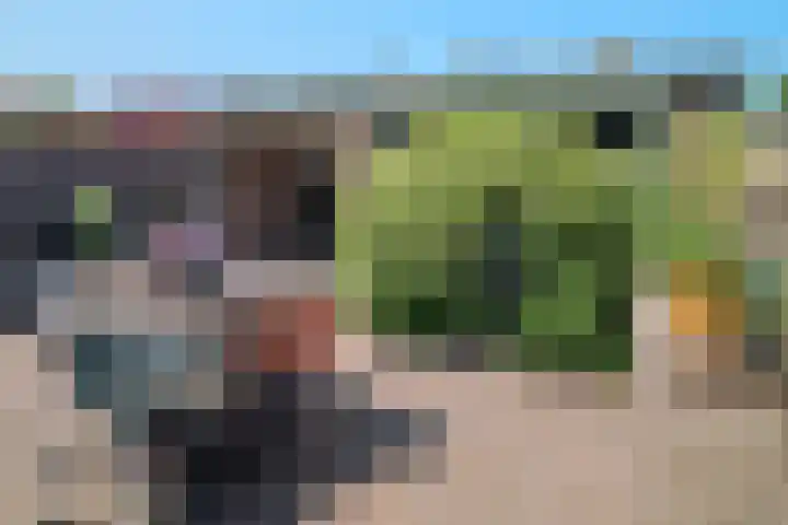Van Goghlaan 210 Roosendaal thumbnail 33
