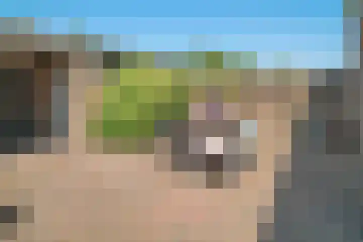 Van Goghlaan 210 Roosendaal thumbnail 34