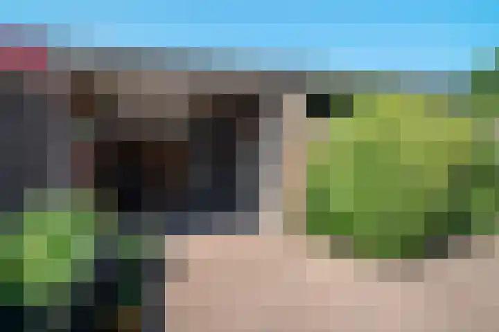 Van Goghlaan 210 Roosendaal thumbnail 35