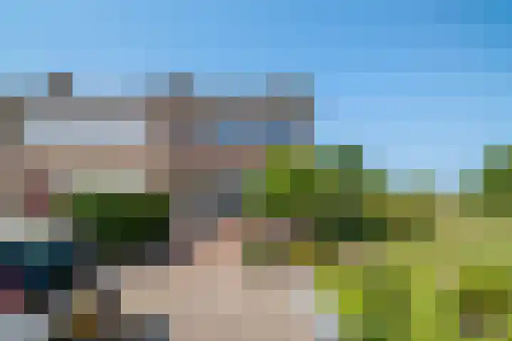 Van Goghlaan 210 Roosendaal thumbnail 39