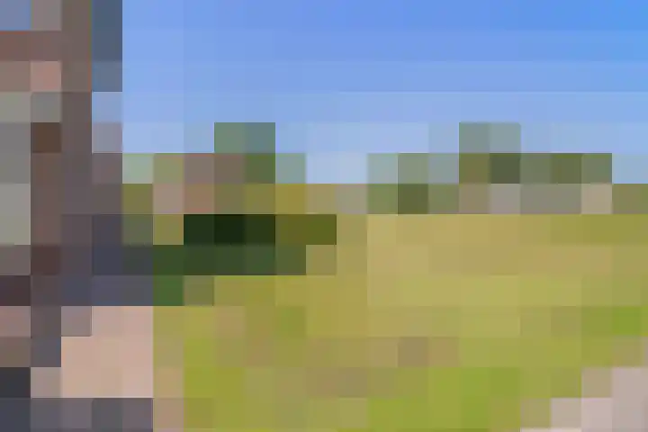 Van Goghlaan 210 Roosendaal thumbnail 41