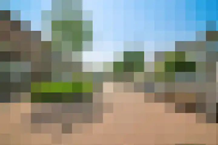 Van Goghlaan 210 Roosendaal thumbnail 42