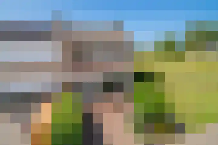 Van Goghlaan 210 Roosendaal thumbnail 59