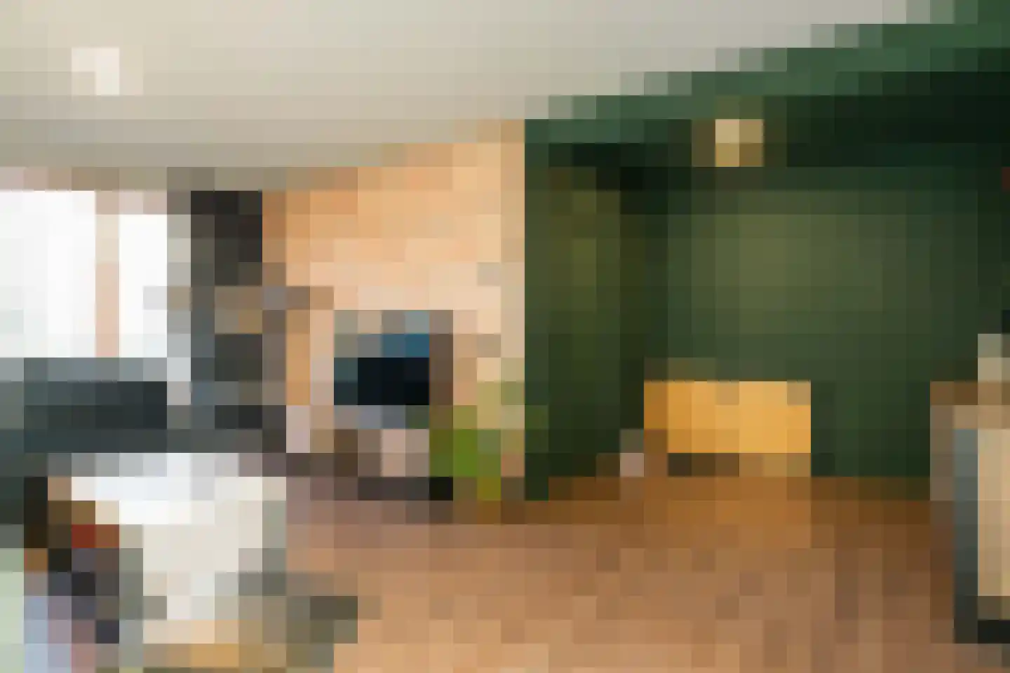 Van Goghlaan 248 Roosendaal thumbnail 4