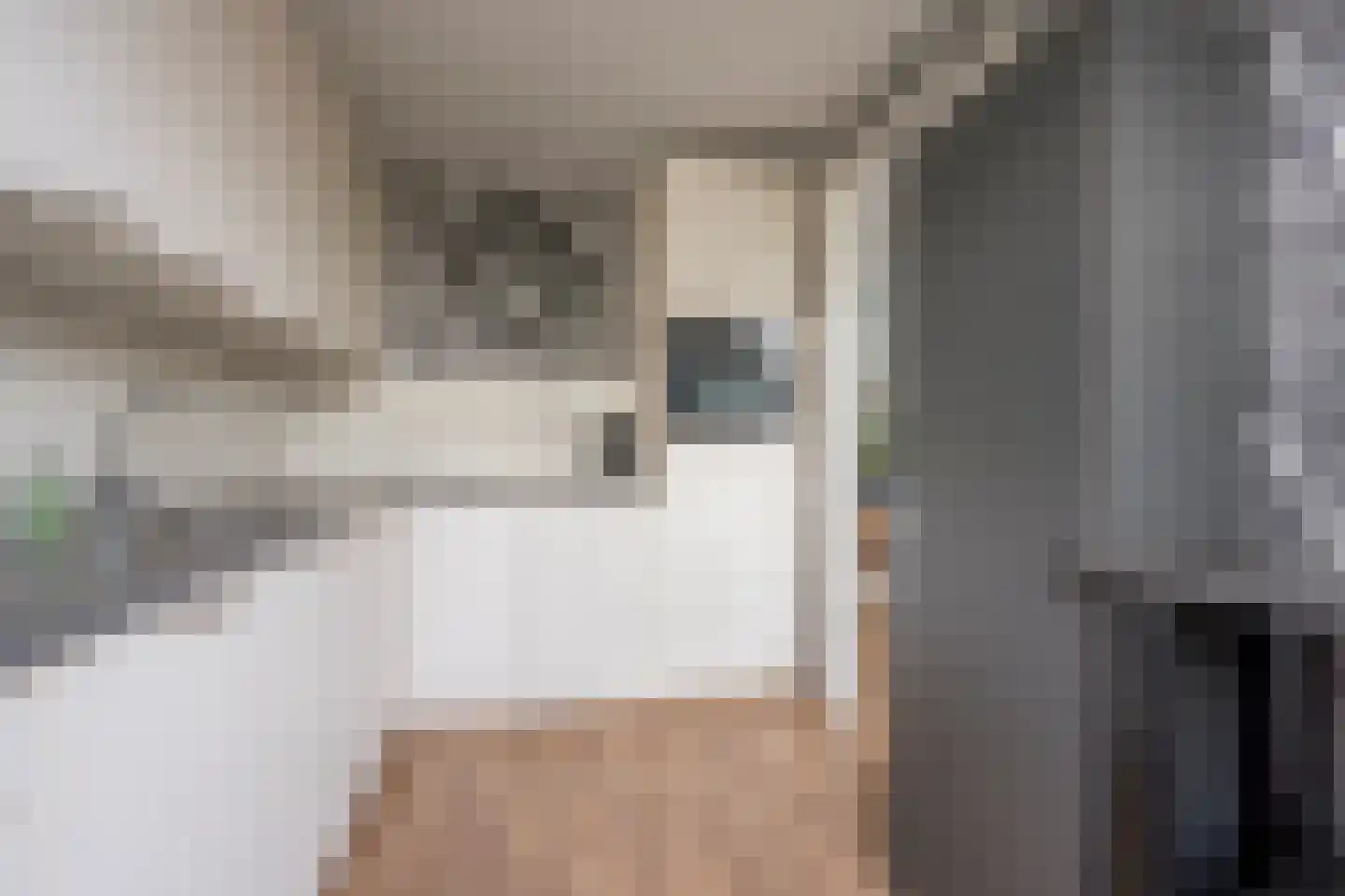 van Goghlaan 26 Scherpenzeel thumbnail 12