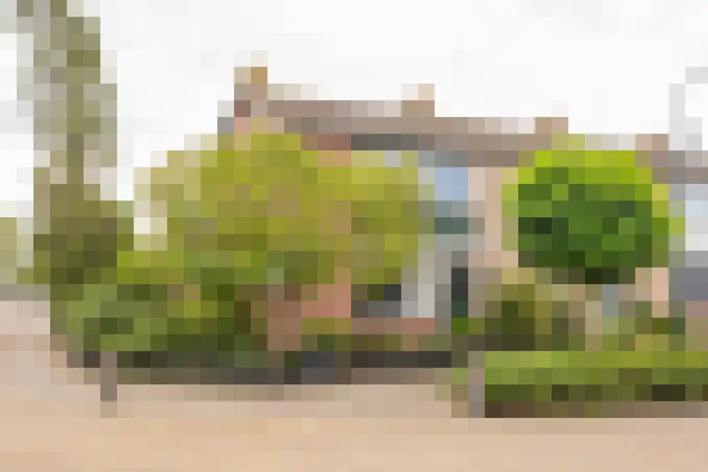 van Goghlaan 26 Scherpenzeel foto 2