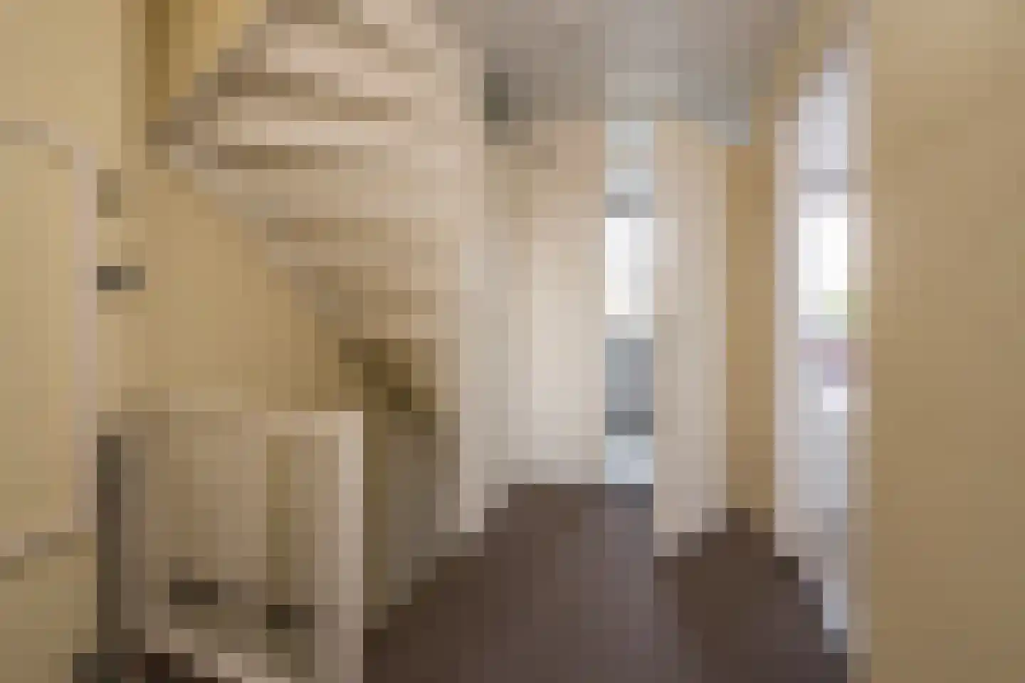 van Goghlaan 26 Scherpenzeel thumbnail 21