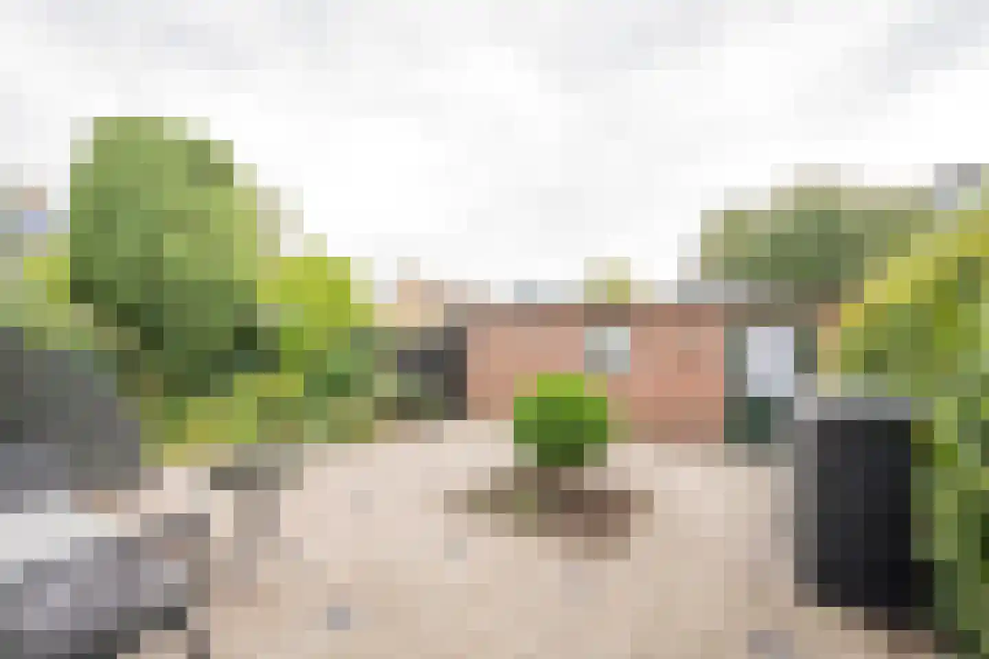 van Goghlaan 26 Scherpenzeel thumbnail 27